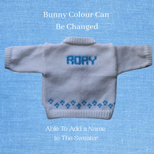 Load image into Gallery viewer, 0253  Sweater Bunny Grey