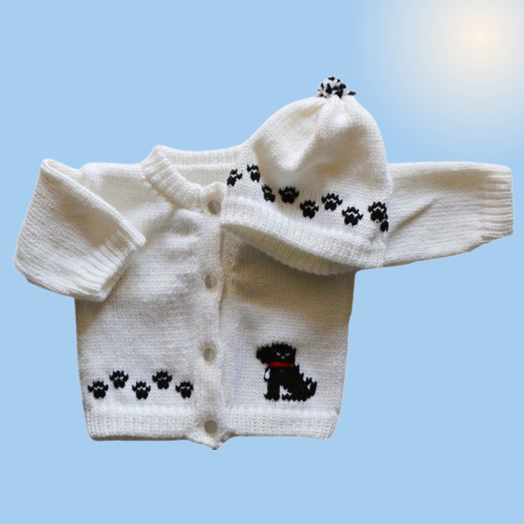 0234  Sweater Dog Small Black Dog