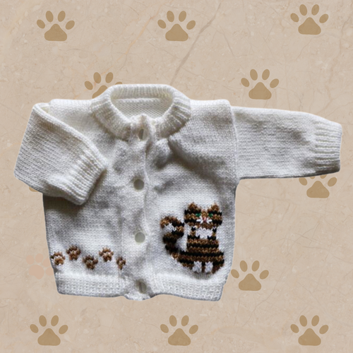 0273 Sweater Tabby Cat