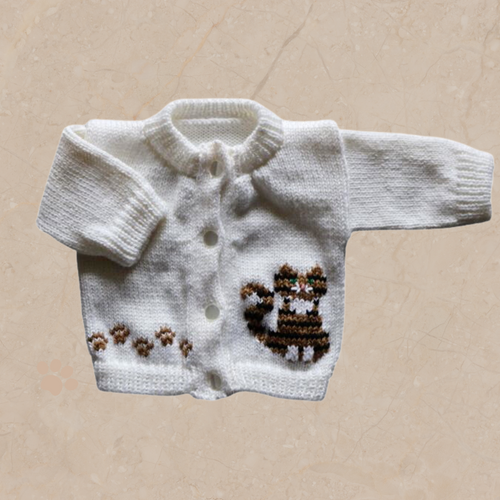 0273 Sweater Tabby Cat
