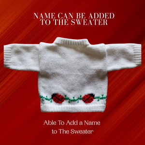 0228  Sweater Lady Bug