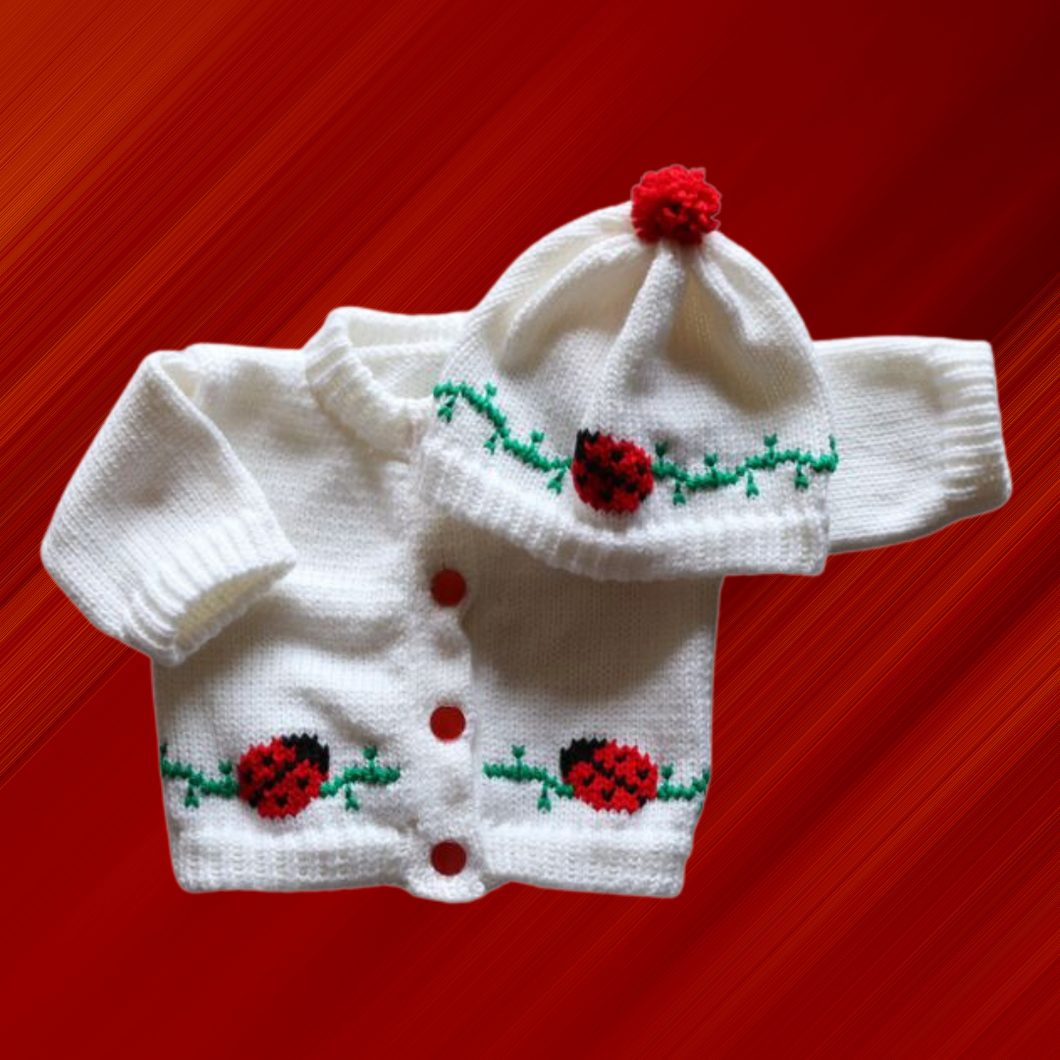 0228  Sweater Lady Bug