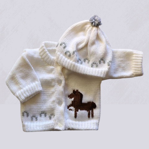 0265 Sweater Horse