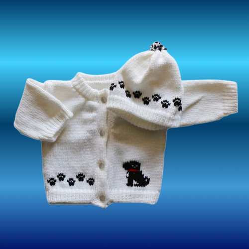 0234  Sweater Dog Small Black Dog