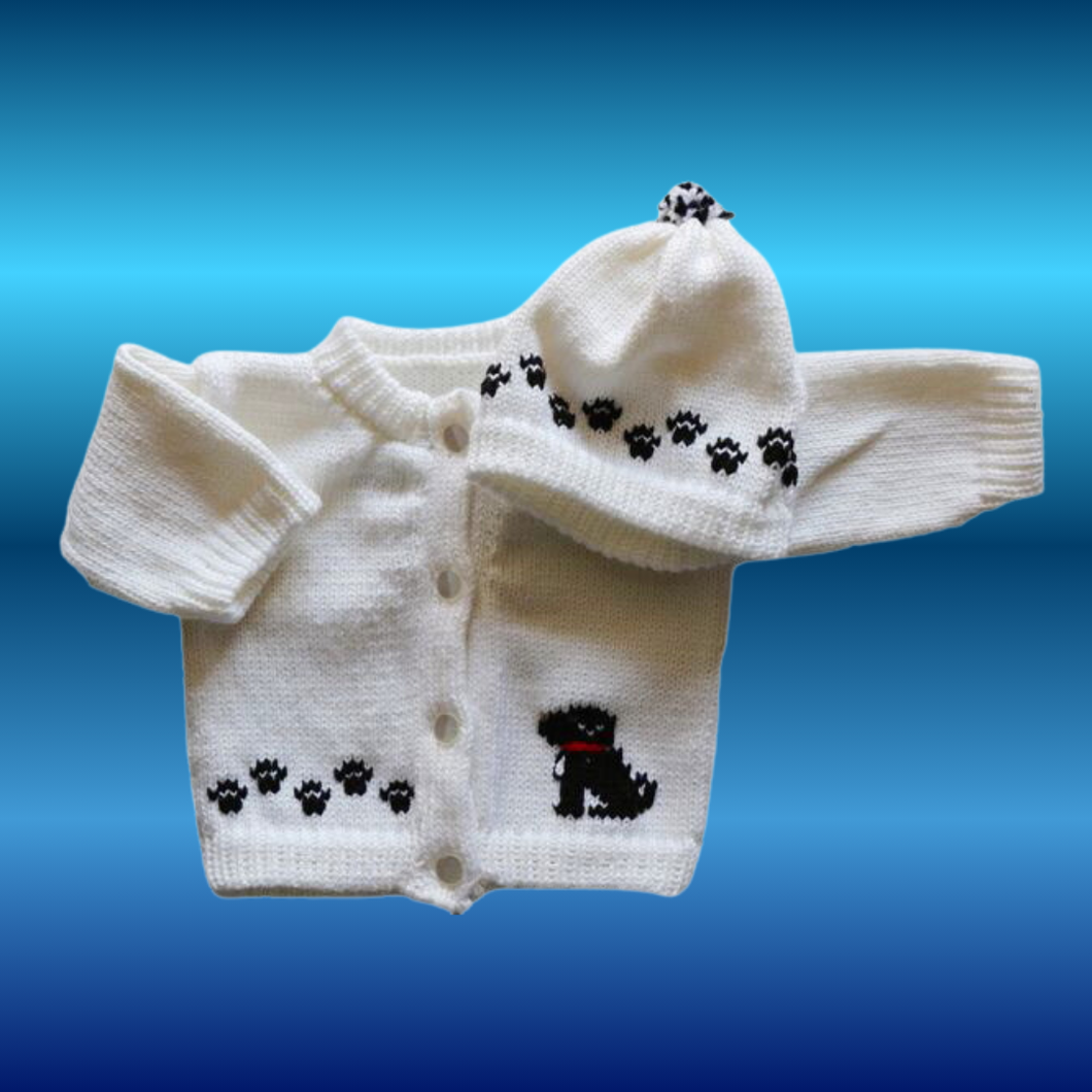 0234  Sweater Dog Small Black Dog