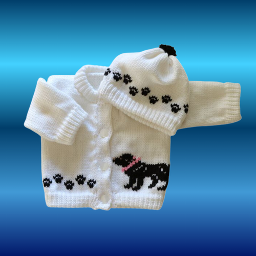 0230 Sweater Black Lab Retriever Dog