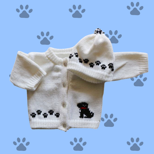 0234  Sweater Dog Small Black Dog