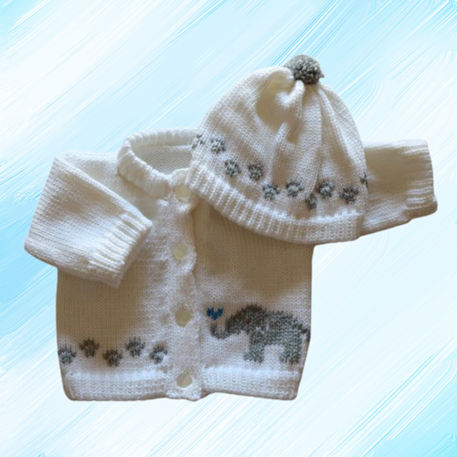 0258  Sweater Elephant
