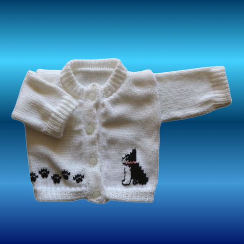 0242A Sweater Dog Bull Dog