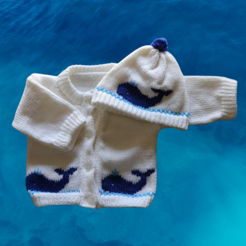 0368  Sweater Whale
