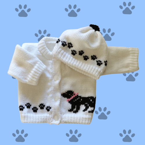 0230 Sweater Black Lab Retriever Dog