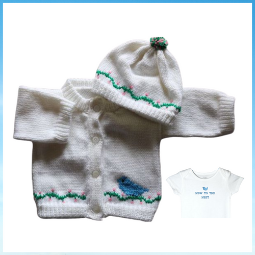 0254 Sweater  Blue Bird