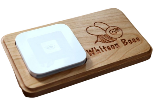 SQ006 Square Reader Winston Bees